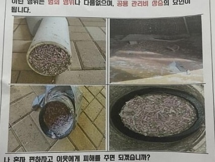 「動物が動物を育てるな」韓国ネット民大激怒の“猫砂処分事件”とは？