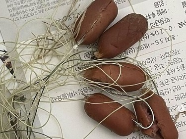 【写真】ソーセージの中に釣り針が…人気の散歩スポットに隠された“悪意”に韓国中が大激怒