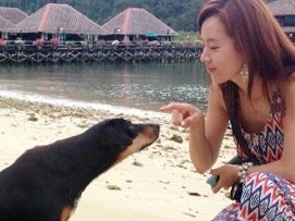 日本の10倍以上!! 韓国の動物愛護法違反が収まらない理由とは？